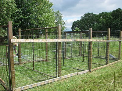 woodwork kennels